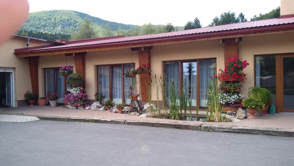 Hotel Penzion Drienovkou à Považská Bystrica Extérieur photo